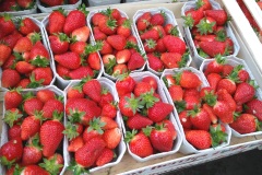 IMG_20190516_115320-2